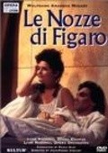 Фильм Свадьба Фигаро : актеры, трейлер и описание.