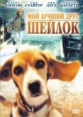 Фильм Мой лучший друг Шейлок : актеры, трейлер и описание.