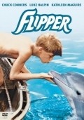 Фильм Флиппер : актеры, трейлер и описание.