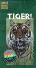Фильм Tiger! : актеры, трейлер и описание.