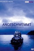 Фильм Angeschwemmt : актеры, трейлер и описание.