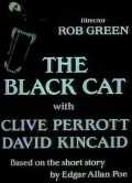 Фильм The Black Cat : актеры, трейлер и описание.