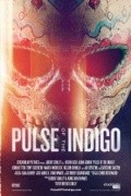 Фильм Pulse of the Indigo : актеры, трейлер и описание.