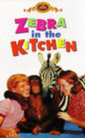 Фильм Zebra in the Kitchen : актеры, трейлер и описание.