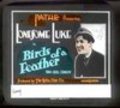 Фильм Birds of a Feather : актеры, трейлер и описание.