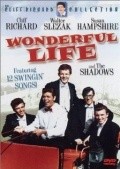 Фильм Wonderful Life : актеры, трейлер и описание.