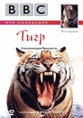 Фильм BBC: Тигр : актеры, трейлер и описание.