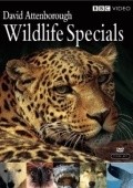 Фильм Wildlife Specials : актеры, трейлер и описание.