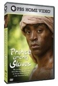 Фильм Prince Among Slaves : актеры, трейлер и описание.