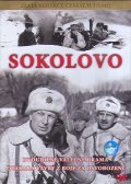 Фильм Соколово : актеры, трейлер и описание.