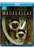 Фильм Мадагаскар  (мини-сериал) : актеры, трейлер и описание.
