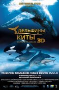 Фильм Дельфины и киты 3D : актеры, трейлер и описание.