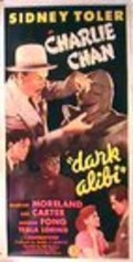 Фильм Dark Alibi : актеры, трейлер и описание.