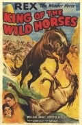 Фильм King of the Wild Horses : актеры, трейлер и описание.