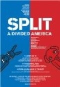 Фильм Split: A Divided America : актеры, трейлер и описание.