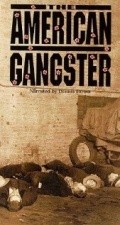 Фильм The American Gangster : актеры, трейлер и описание.