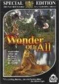 Фильм Wonder of It All : актеры, трейлер и описание.