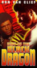 Фильм Way of the Black Dragon : актеры, трейлер и описание.