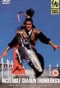 Фильм Incredible Shaolin Thunderkick : актеры, трейлер и описание.