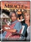Фильм Miracle in the Woods : актеры, трейлер и описание.