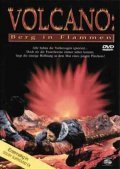 Фильм Вулкан: Огненная гора : актеры, трейлер и описание.
