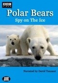 Фильм Polar Bears: Spy on the Ice : актеры, трейлер и описание.