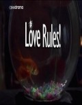 Фильм Love Rules! : актеры, трейлер и описание.