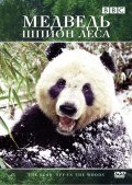 Фильм Медведь: Шпион леса : актеры, трейлер и описание.