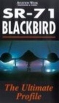 Фильм SR-71 Blackbird: The Secret Vigil : актеры, трейлер и описание.