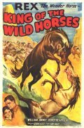 Фильм The King of the Wild Horses : актеры, трейлер и описание.