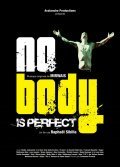 Фильм Nobody Is Perfect : актеры, трейлер и описание.