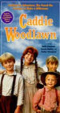 Фильм Caddie Woodlawn : актеры, трейлер и описание.
