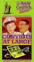 Фильм Convicts at Large : актеры, трейлер и описание.