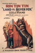 Фильм Land of the Silver Fox : актеры, трейлер и описание.
