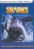 Фильм Search for the Great Sharks : актеры, трейлер и описание.
