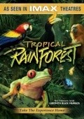 Фильм Тропический лес : актеры, трейлер и описание.