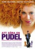 Фильм Att gora en pudel : актеры, трейлер и описание.