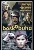 Фильм Бошко Буха : актеры, трейлер и описание.