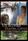 Фильм Un acoperis deasupra capului : актеры, трейлер и описание.