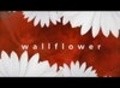 Фильм Wallflower : актеры, трейлер и описание.