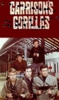 Фильм Garrison's Gorillas  (сериал 1967-1968) : актеры, трейлер и описание.