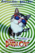 Фильм Эта дикая кошка : актеры, трейлер и описание.