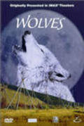 Фильм Wolves : актеры, трейлер и описание.