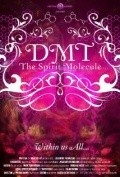 Фильм DMT: The Spirit Molecule : актеры, трейлер и описание.