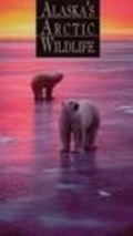 Фильм Alaska's Arctic Wildlife : актеры, трейлер и описание.