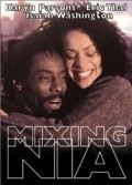 Фильм Mixing Nia : актеры, трейлер и описание.