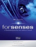 Фильм Senses : актеры, трейлер и описание.