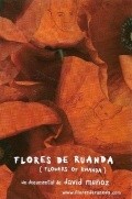 Фильм Цветы Руанды : актеры, трейлер и описание.