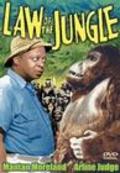 Фильм Law of the Jungle : актеры, трейлер и описание.
