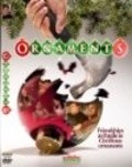 Фильм Ornaments : актеры, трейлер и описание.